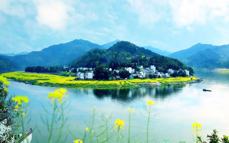 高效高精度智能